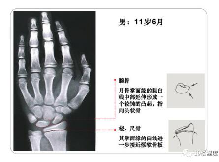 QQ截图20220701112500.jpg